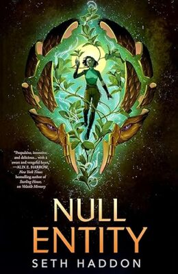 Null Entity (The Volatile Memory Duology #2)