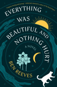 Everything Was Beautiful And Nothing Hurt