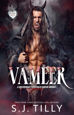 Vemeer (Bonded Souls #2)