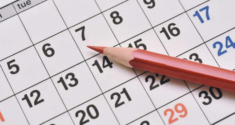 Nora Roberts 2026 Book Release Timeline