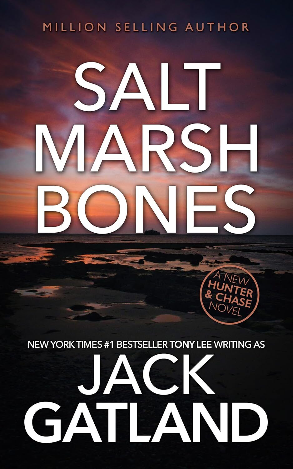Salt Marsh Bones (Hunter & Chase #1)