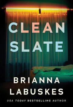 Clean Slate (Olive Hunt #1)