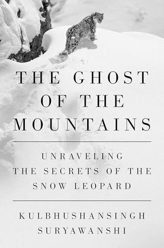The Ghost Of The Mountains