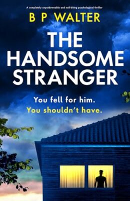 The Handsome Stranger