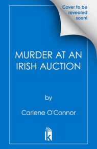 Murder at an Irish Auction (Irish Village Mystery #13)
