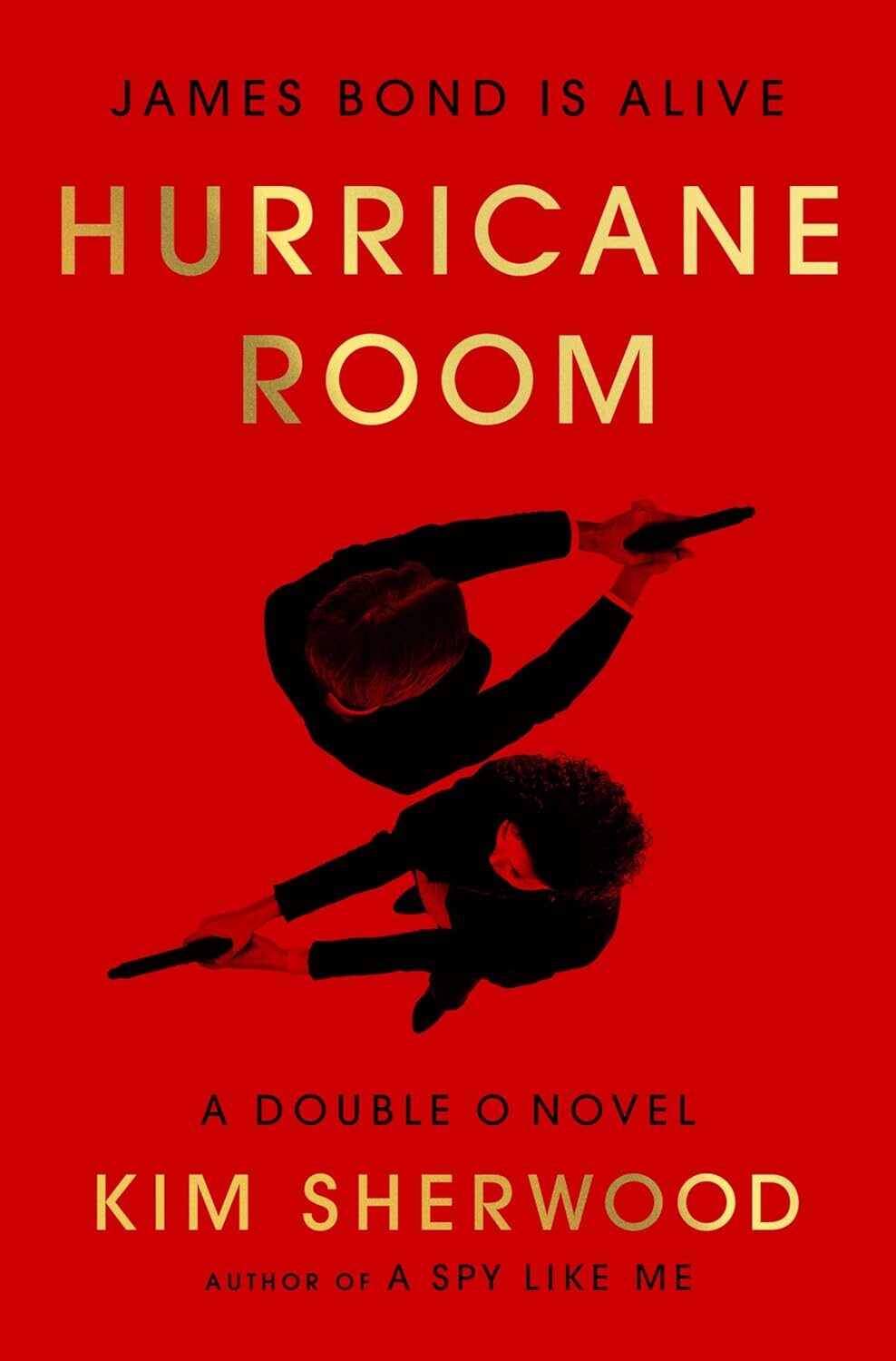Hurricane Room (Double O #3)