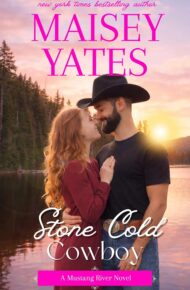 Stone Cold Cowboy (Mustang River #1)