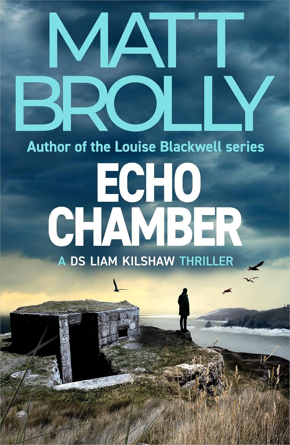 Echo Chamber (DS Liam Kilshaw #4)
