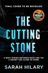 The Cutting Stone (DS Joseph Ashe #2)