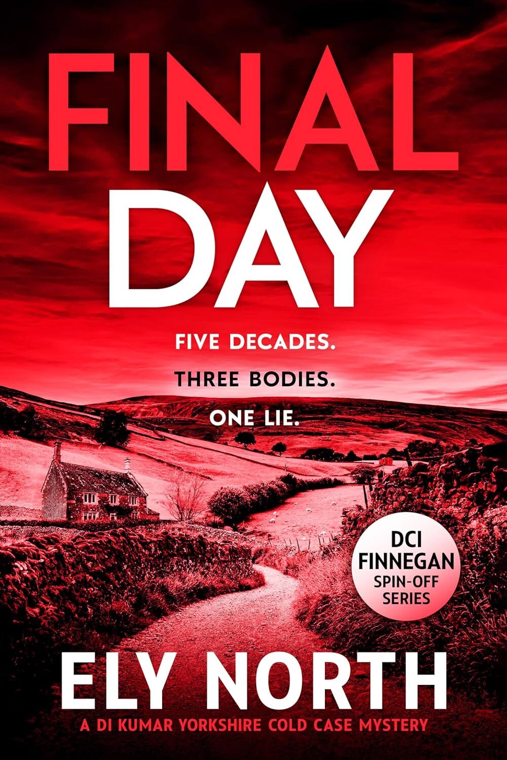 Final Day (DI Kumar Yorkshire Cold Case Mystery #1)