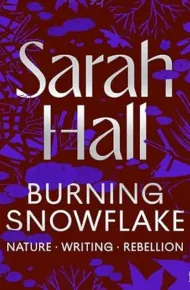 Burning Snowflake