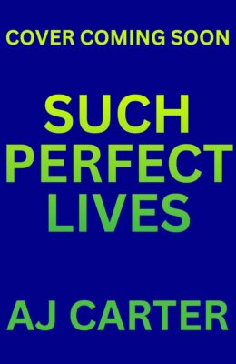 Such Perfect Lives