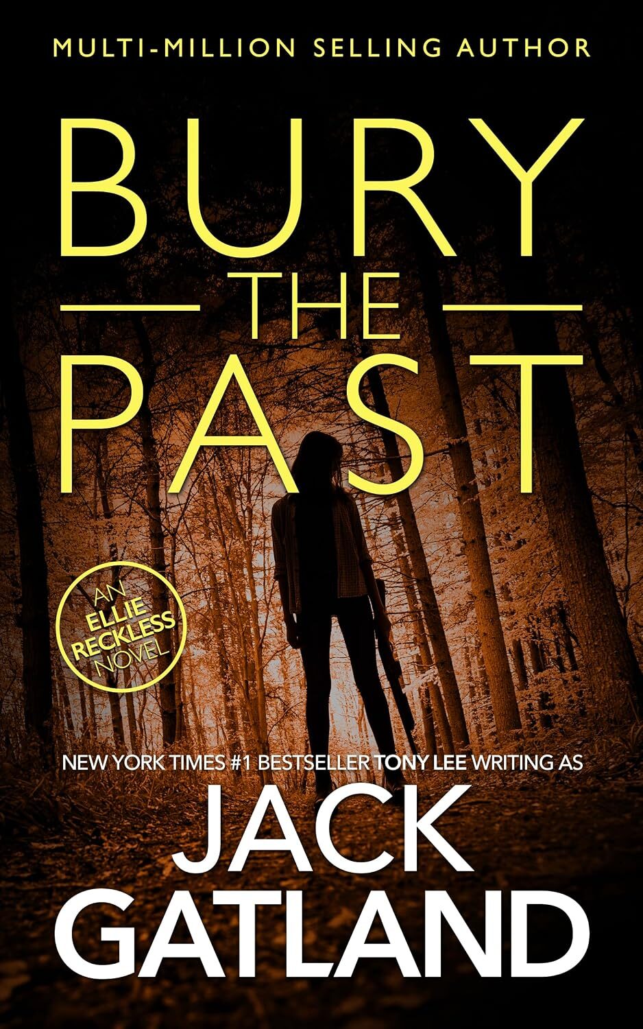 Bury The Past (Ellie Reckless #8)
