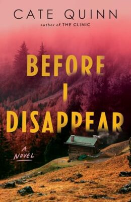 Before I Disappear