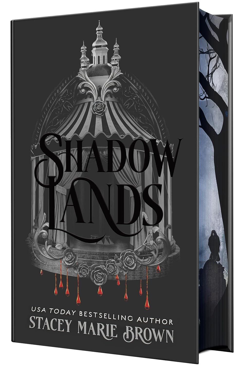 Shadow Lands (Savage Lands #6) (Deluxe)