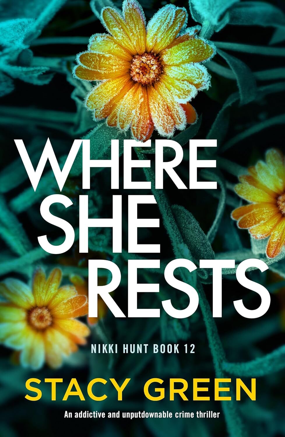 Where She Rests (Nikki Hunt #12)