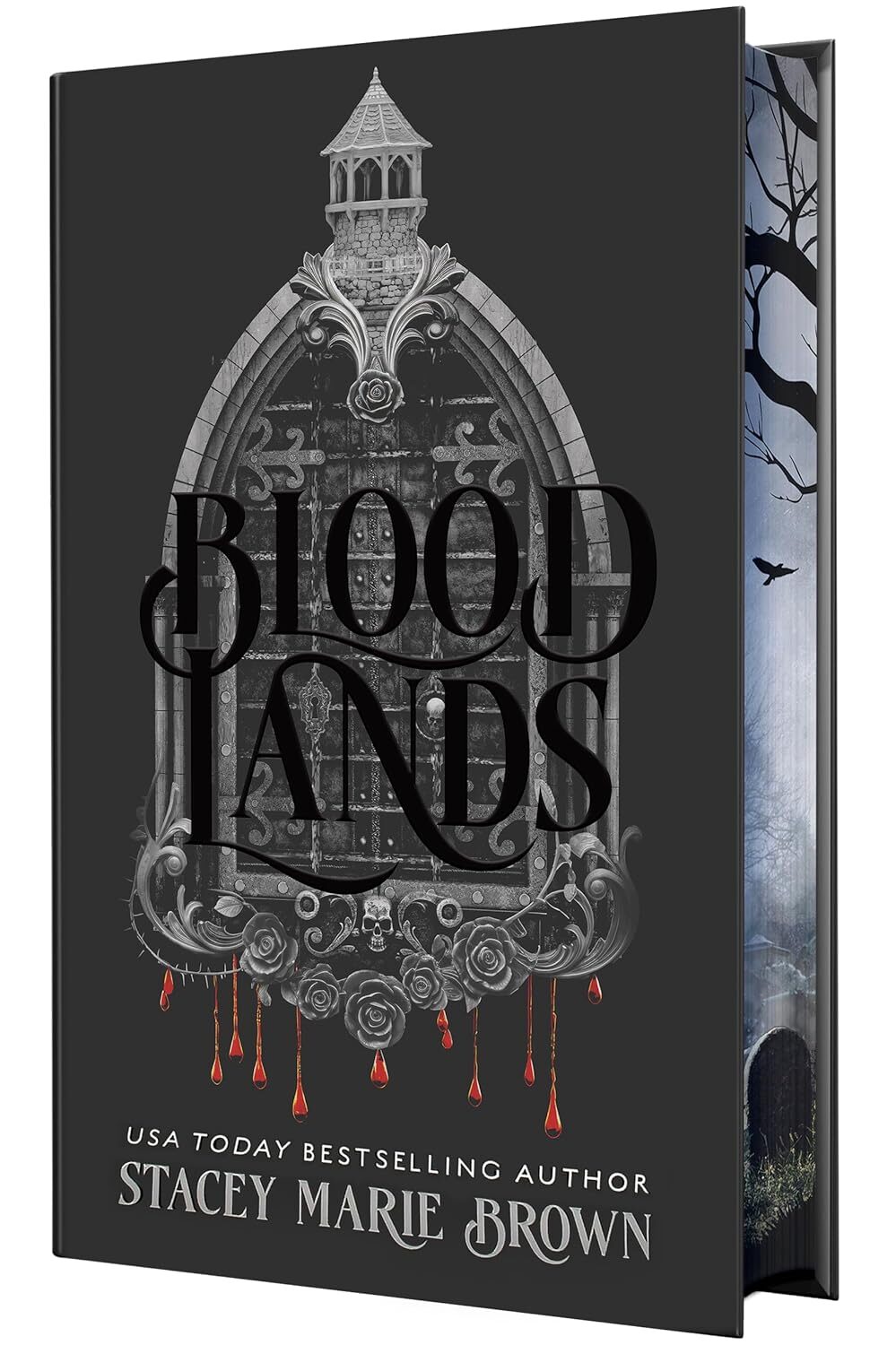 Blood Lands (Savage Lands #5) (Deluxe)