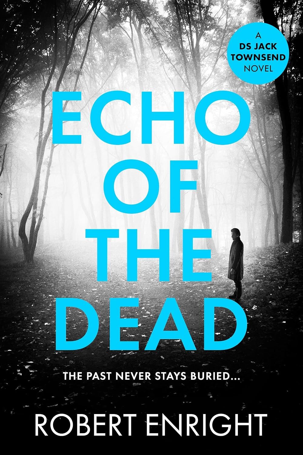 Echo Of The Dead (D.S Jack Townsend #5)
