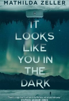 It Looks Like You In The Dark (Kobuk Valley)