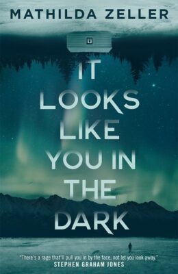 It Looks Like You In The Dark (Kobuk Valley)