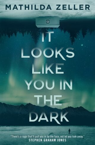 It Looks Like You In The Dark (Kobuk Valley)