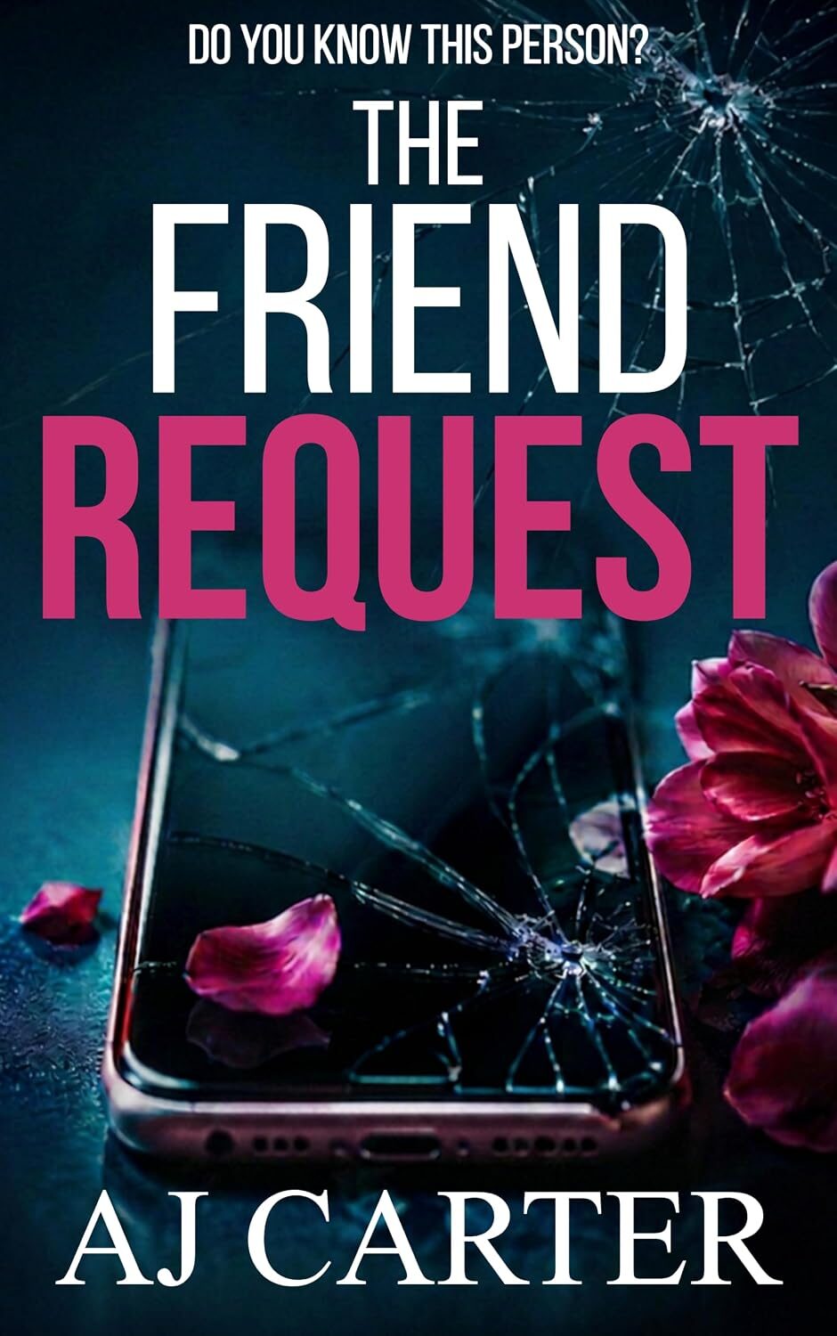The Friend Request (Standalone Psychological Thrillers)