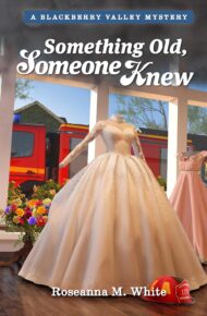 Something Old, Someone Knew (Mysteries of Blackberry Valley #18)