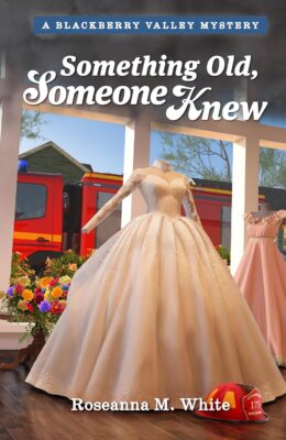 Something Old, Someone Knew (Mysteries of Blackberry Valley #18)