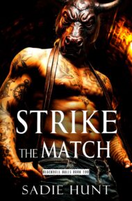 Strike the Match (Blackwell Bulls #2)