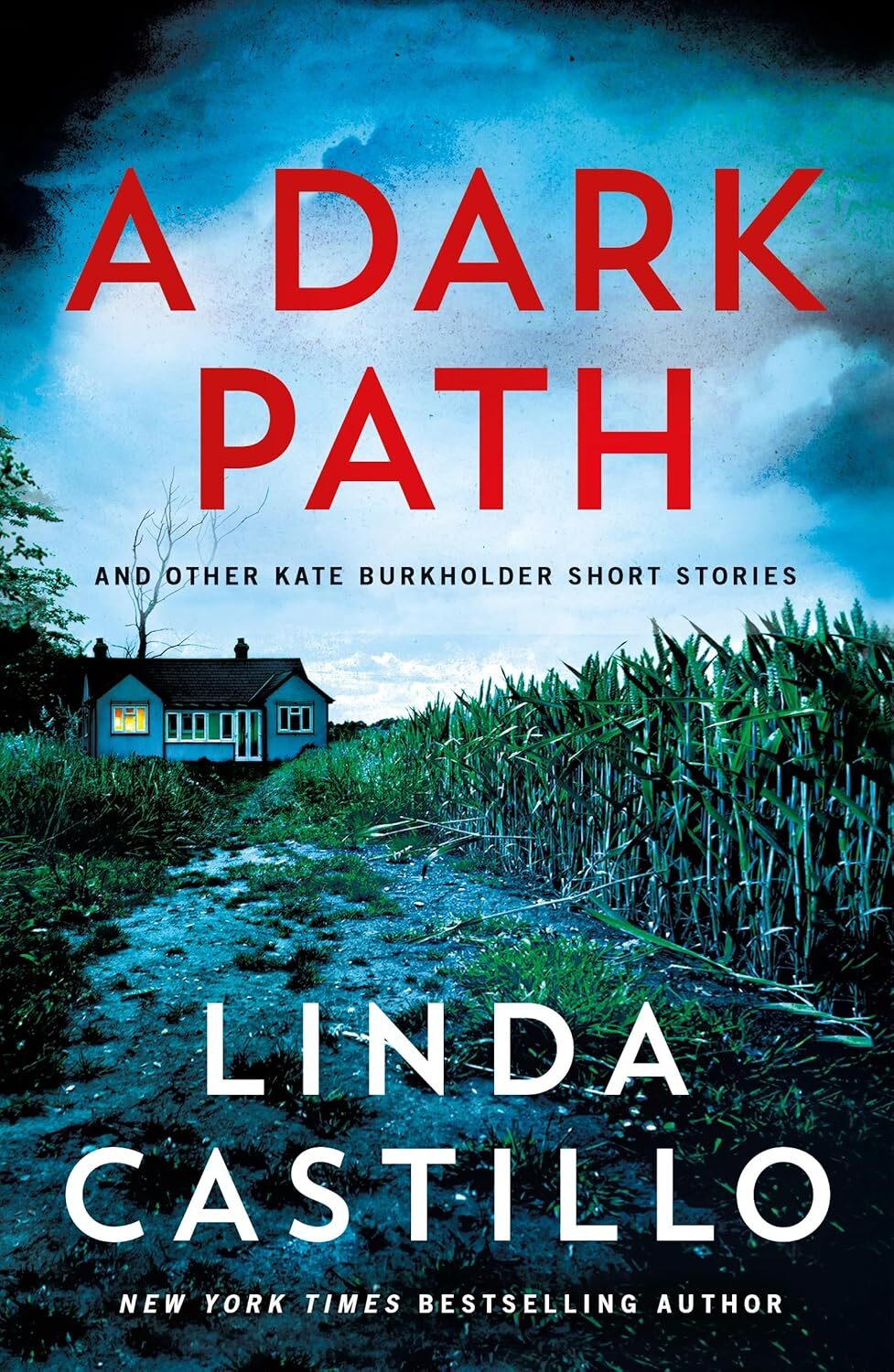 A Dark Path (Kate Burkholder)