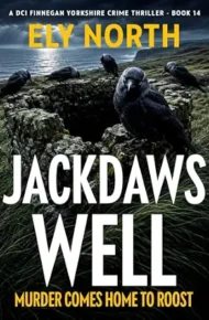 Jackdaws Well (DCI Finnegan #14)