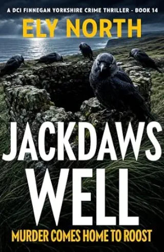 Jackdaws Well (DCI Finnegan #14)