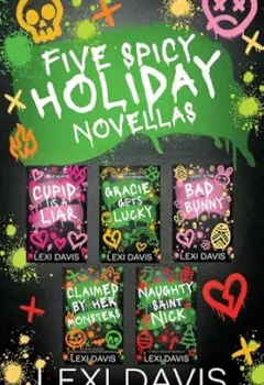 Five Spicy Holiday Novellas