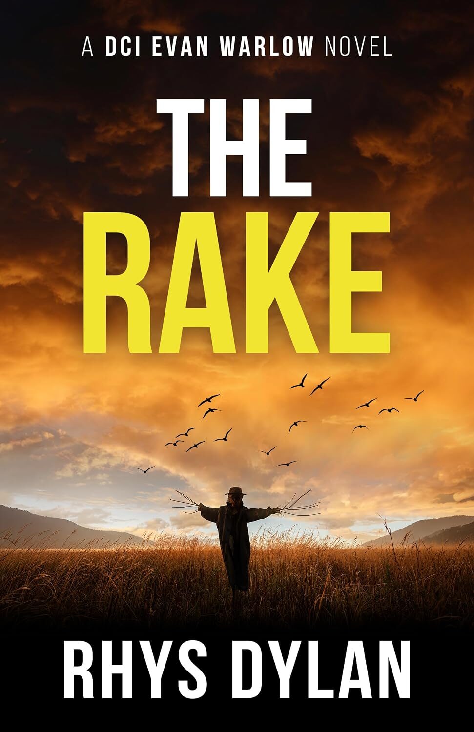 The Rake (DCI Evan Warlow #22)