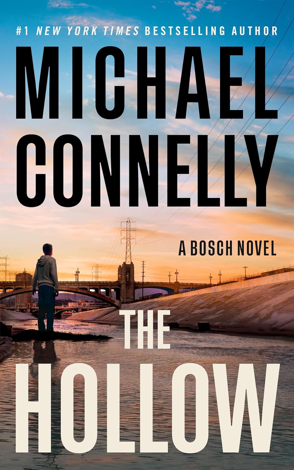 The Hollowby Michael Connelly