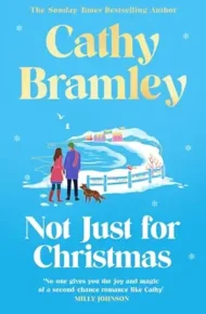 Not Just for Christmas