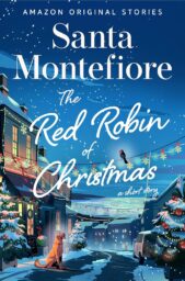 The Red Robin of Christmas