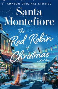 The Red Robin of Christmas