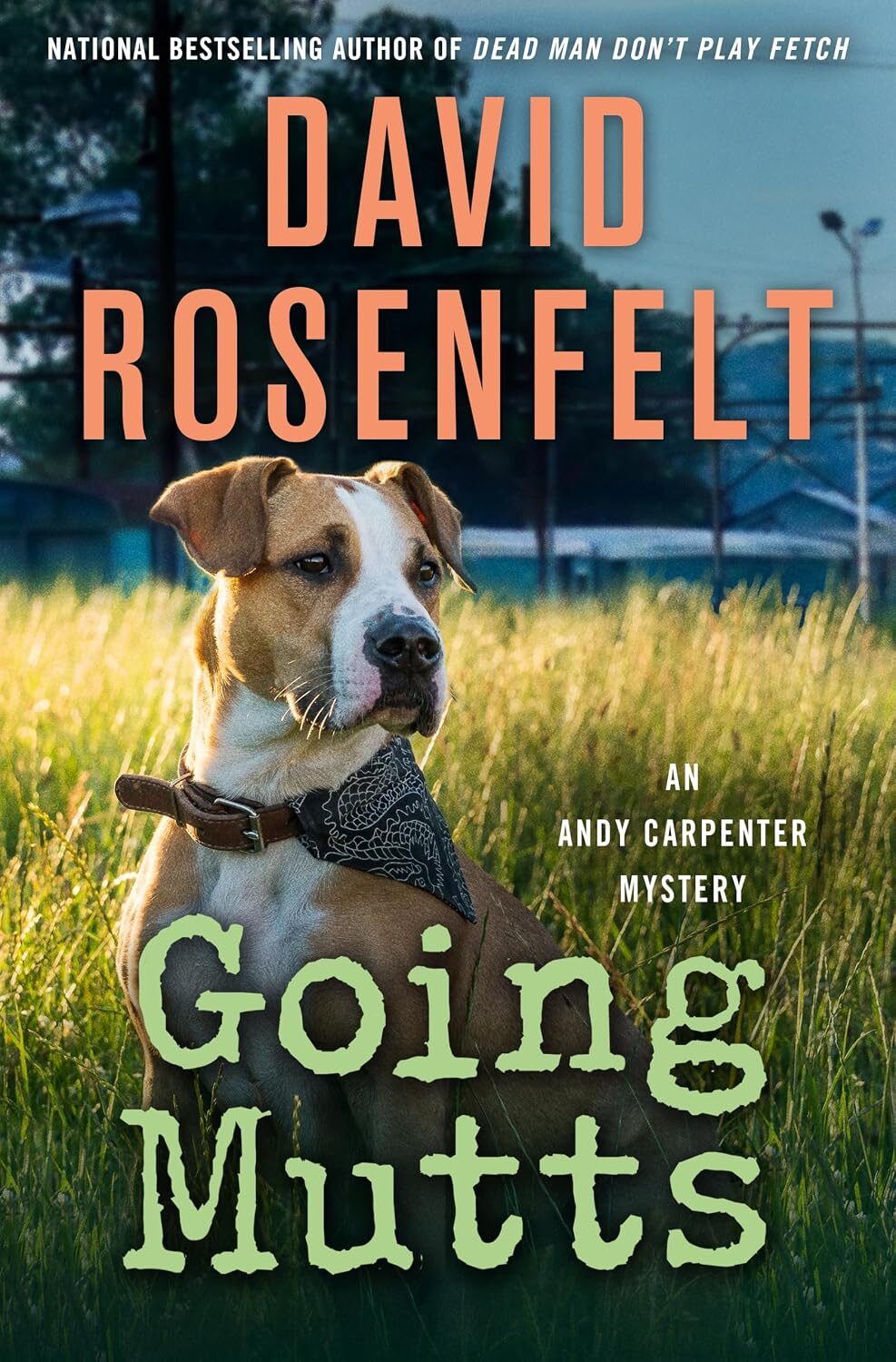 Going Mutts (Andy Carpenter #35)