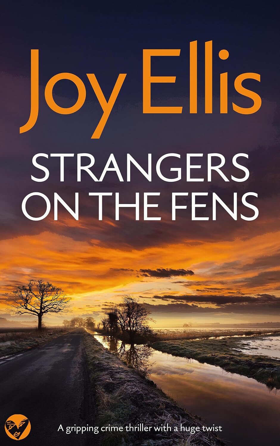 Strangers on the Fens (DI Nikki Galena #16)