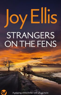 Strangers on the Fens (DI Nikki Galena #16)