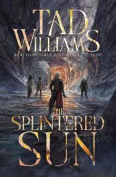 The Splintered Sun (Flann’s Crows)